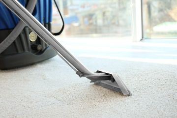 Carpet Steam Cleaning in Sanitorium by Shepherd's Cleaning LLC