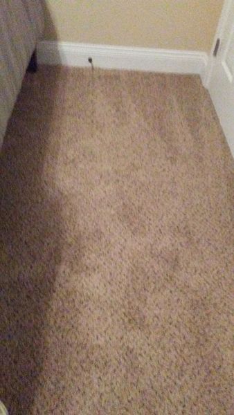 Carpet Cleaning in Hattiesburg, MS (1)