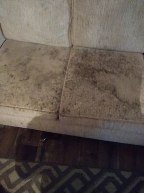 Before & After Upholstery Cleaning in Gulfport, MS (1)