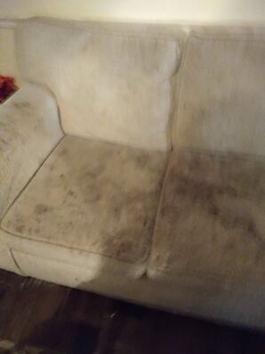 Before & After Upholstery Cleaning in Gulfport, MS (2)