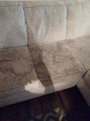 Before & After Upholstery Cleaning in Gulfport, MS (3)