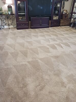 Carpet Cleaning in Gulfport, MS (2)