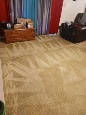 Carpet Cleaning in Hattiesburg, MS (2)
